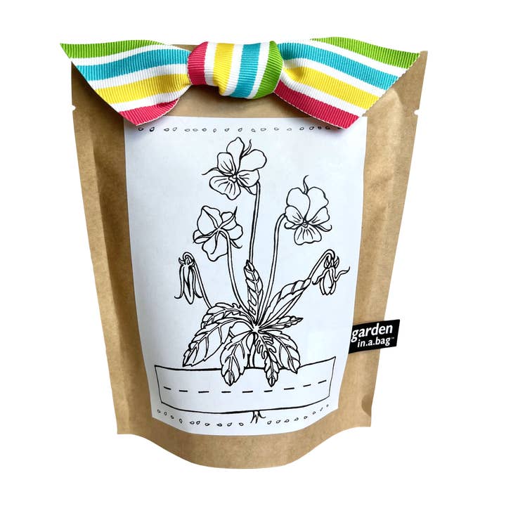 Kids Garden in a Bag | Viola | Learning Activity Gift and other Purchase Wholesale patate viola. Free Returns & Net 60 Terms on Faire trending on Faire.