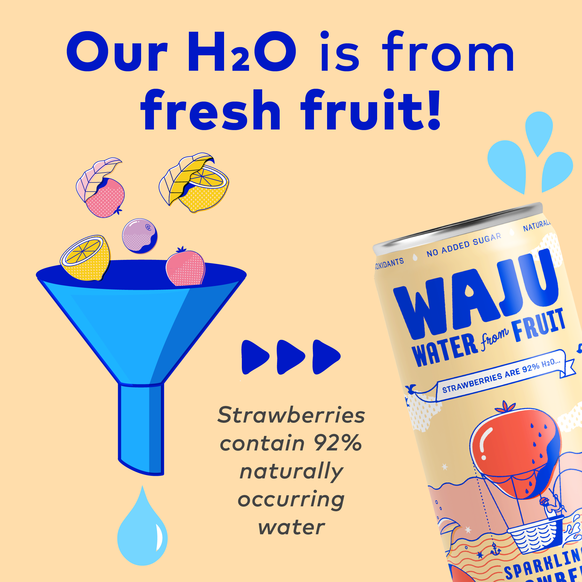 WAJU Water - Wholesale Sparkling Water - Strawberry Water from Fruit | Sparkling Water | Antioxidants2