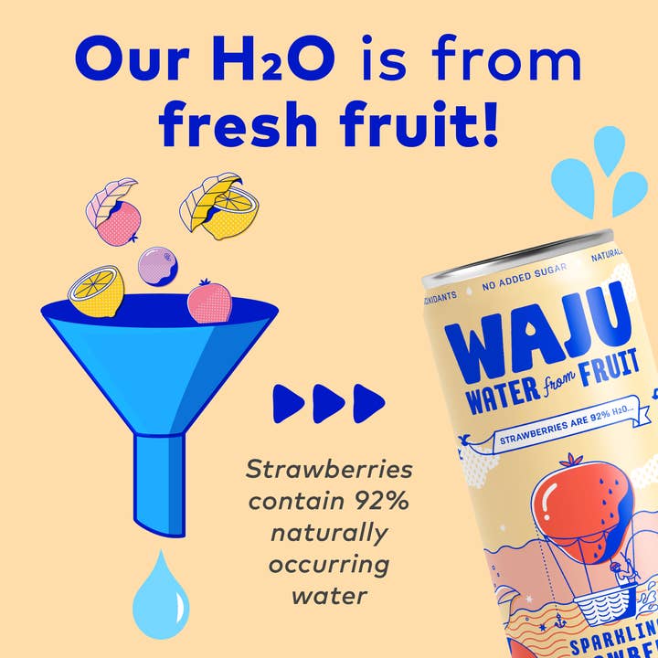 WAJU Water - Wholesale Sparkling Water - Strawberry Water from Fruit | Sparkling Water | Antioxidants2