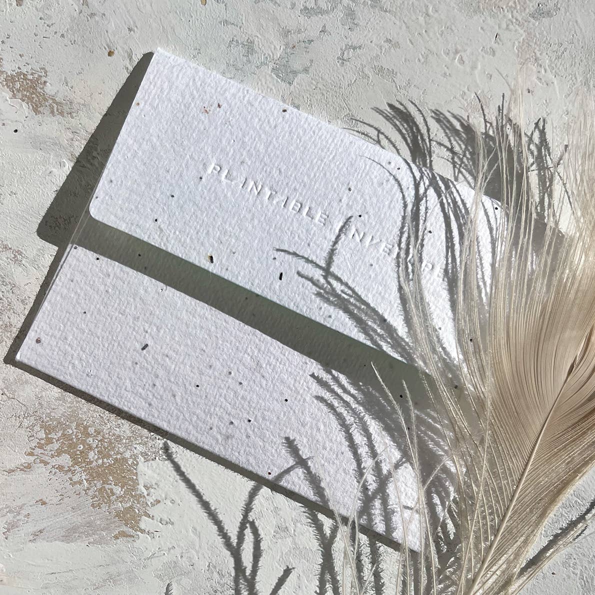 Seedlings - Wholesale Mother's Day Card - Mama Swan - Mother's Day Card2