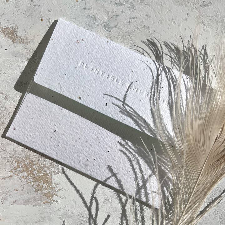 Seedlings - Wholesale Mother's Day Card - Mama Swan - Mother's Day Card2