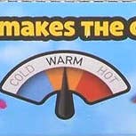 Curious Minds Toys - Wholesale Toy Set - Kids - 1 Color Changing Lizards Toy - Thermal - Changes Colors in C2