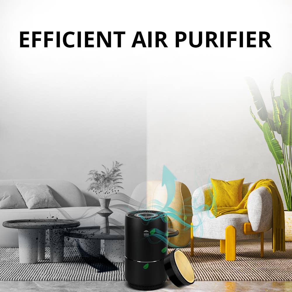 WBM LLC - Wholesale Air Humidifier - WBM SMART HEPA Air Purifier Replacement Filter, Pack 27