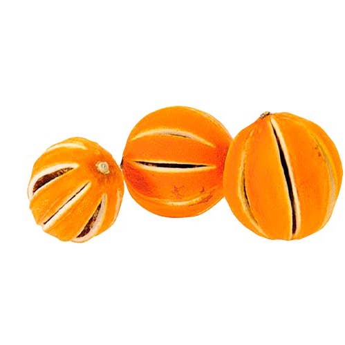 Mini Orange voor wholesale door The Dida