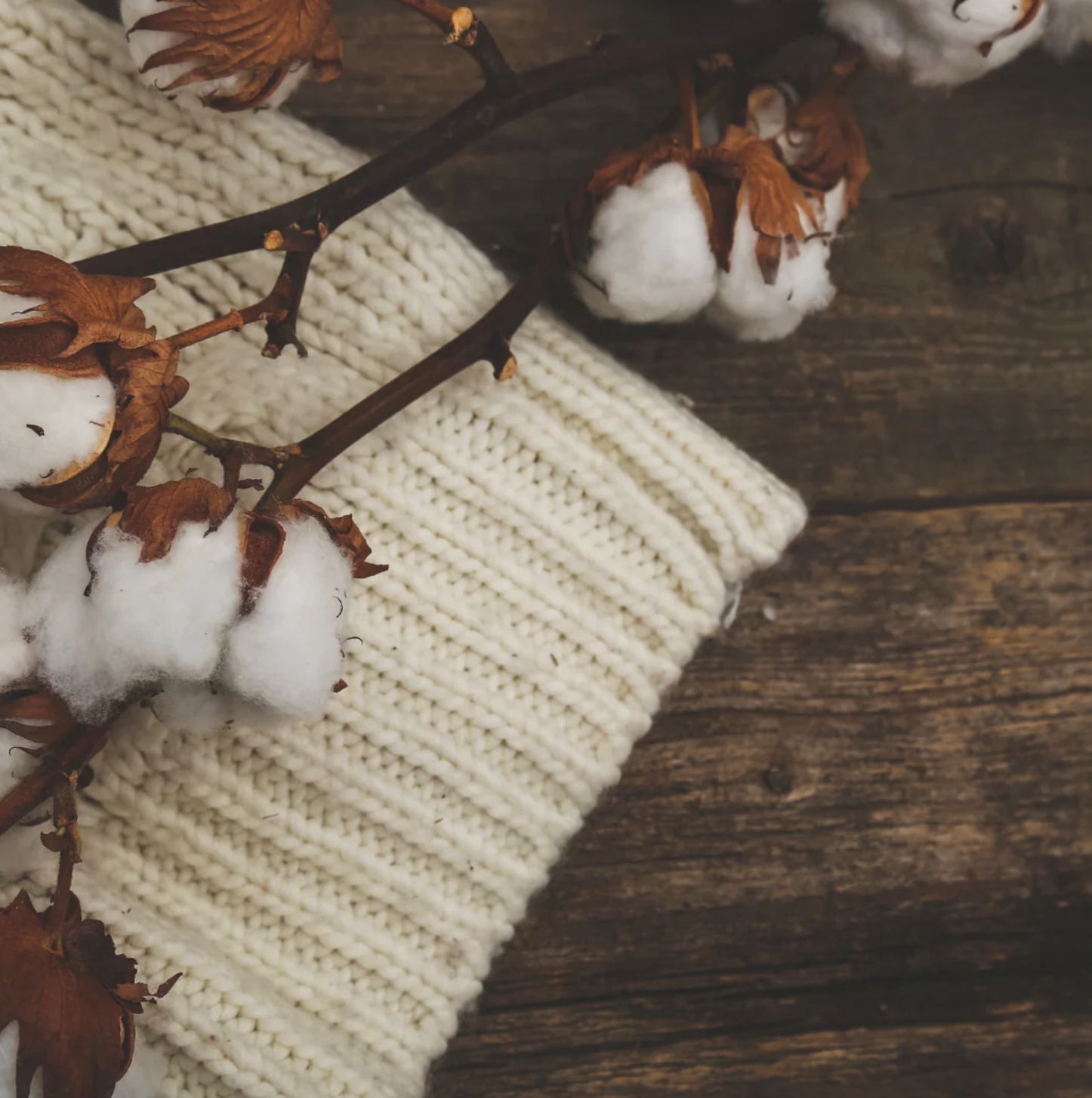 Essbee Bath and Body - Wholesale Solid Perfume - Cashmere & Cream Solid Fragrance2