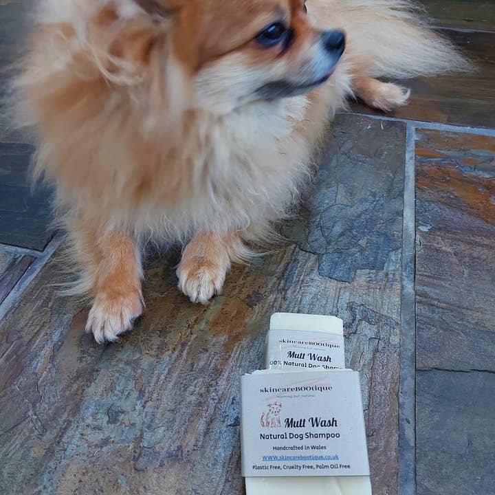 SkincareBOOtique – wholesale Pet shampoo – Dog – Dog Shampoo natural with tea tree helps prevent fleas3