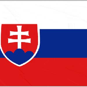 Eslováquia 3' x 2' por atacado de Worldwide Flags Ltd