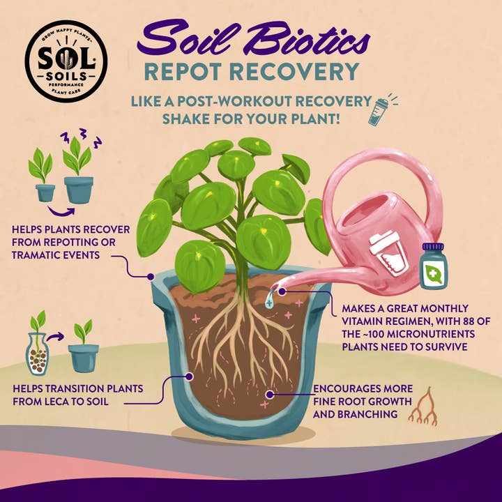 Sol Soils - Vente Engrais - Produits biotiques pour le sol - Report Recovery