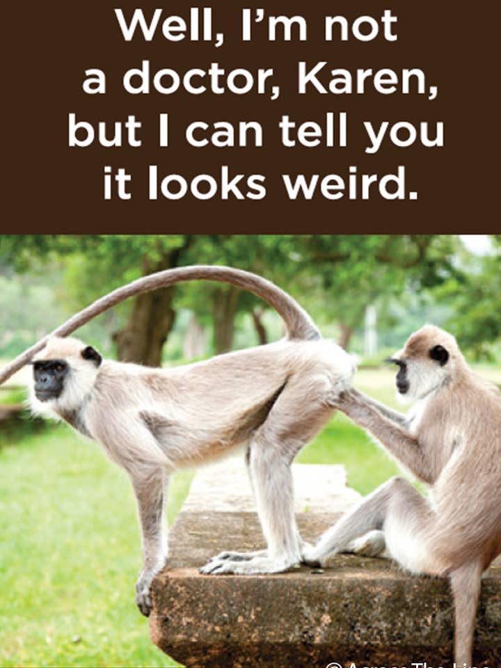 Magnet: Well, I'm not a doctor, Karen, for wholesale by Ephemera