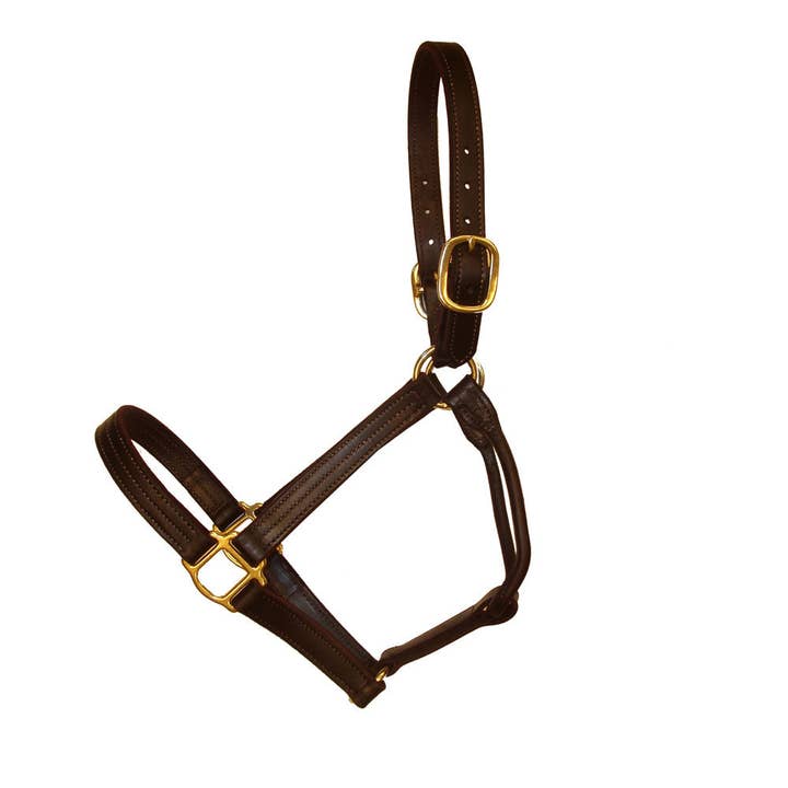 1" Latigo Lined Triple Stitched Rolled Throat Halter for wholesale by Intrepid International