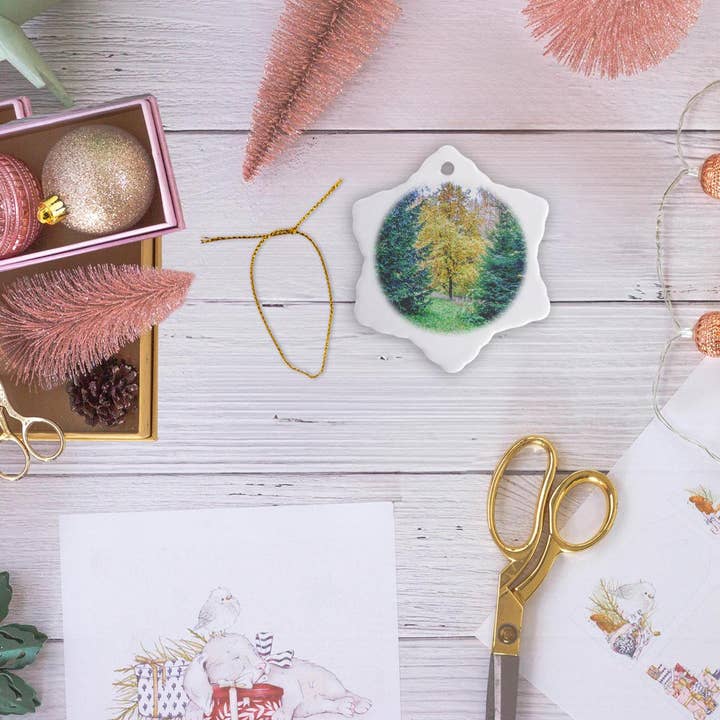 3dRose - Wholesale Ornament - 3dRose, Young oak tree between two fir trees on a wet autumn day, Ornament5