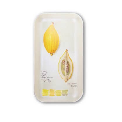 ikonink - Wholesale Decorative tray - Jaune Citron Tray, Small