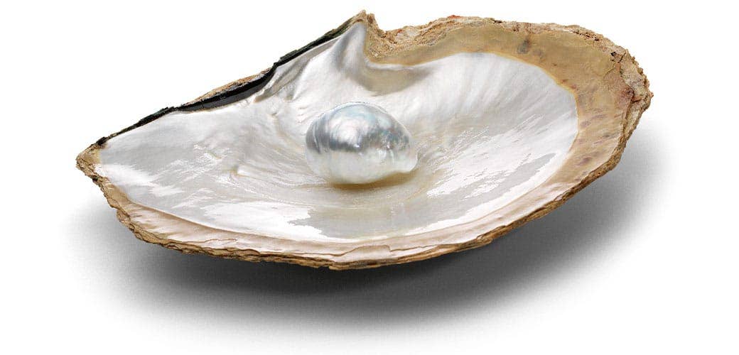 IRIS & OPALE Beauty - Wholesale Makeup Remover - Freshwater Pearl Cleansing Milk2