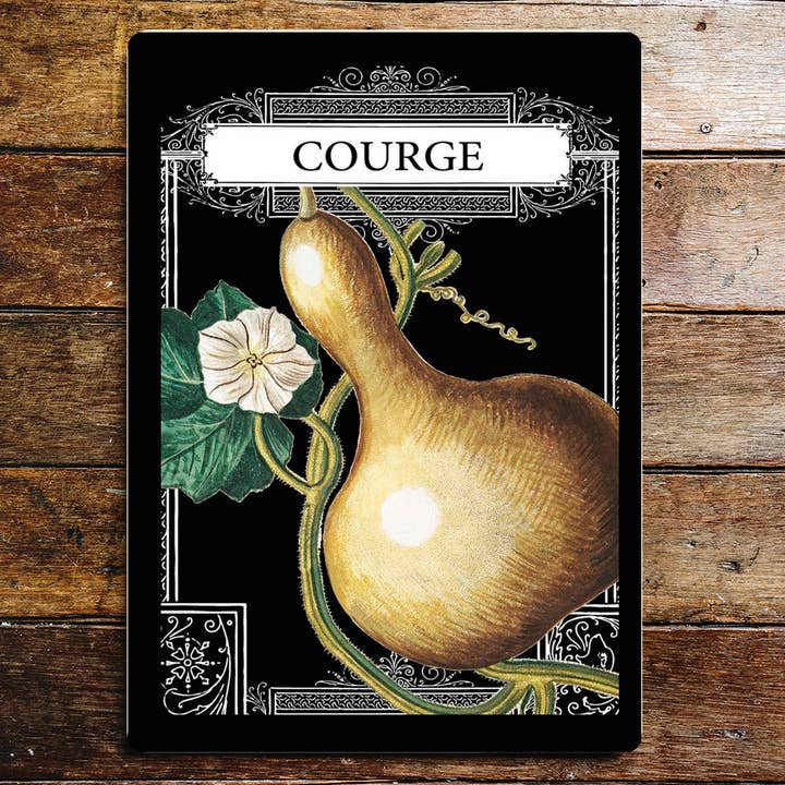 Garden Seeds Courge Squash Kitchen - Plaque en métal pour la vente par The British Metal Signs Company
