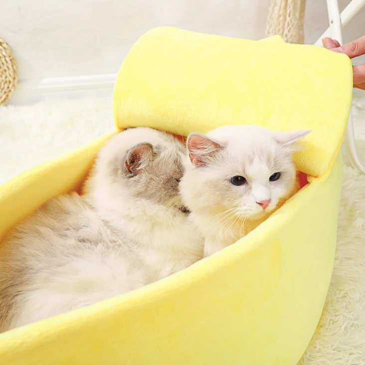 ToyalFriends - All Import Duties Covered! – wholesale Pet bed – Cat/dog – Banana Shape Pet Bed House6