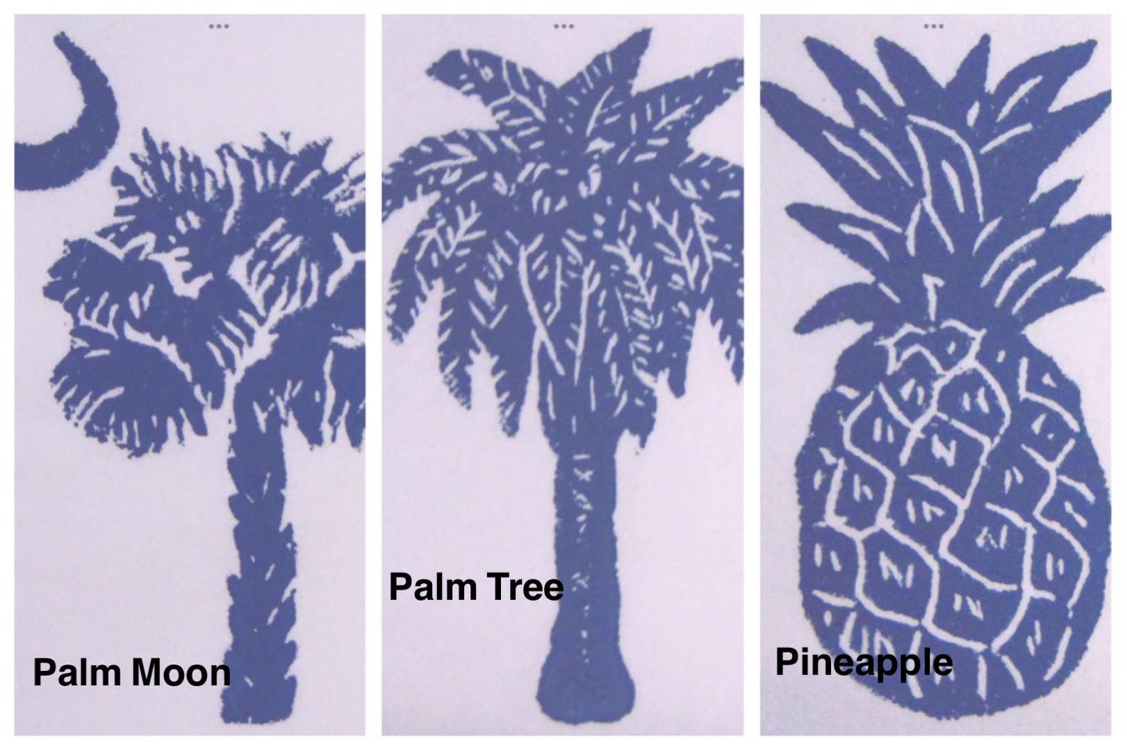 Lowcountry Linens - Wholesale Tea Towel - Custom Coordinates Kitchen Towels3