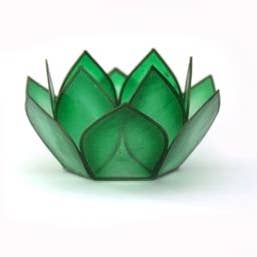 Rain Forest Paradise Mini TLight for wholesale by Om Gallery