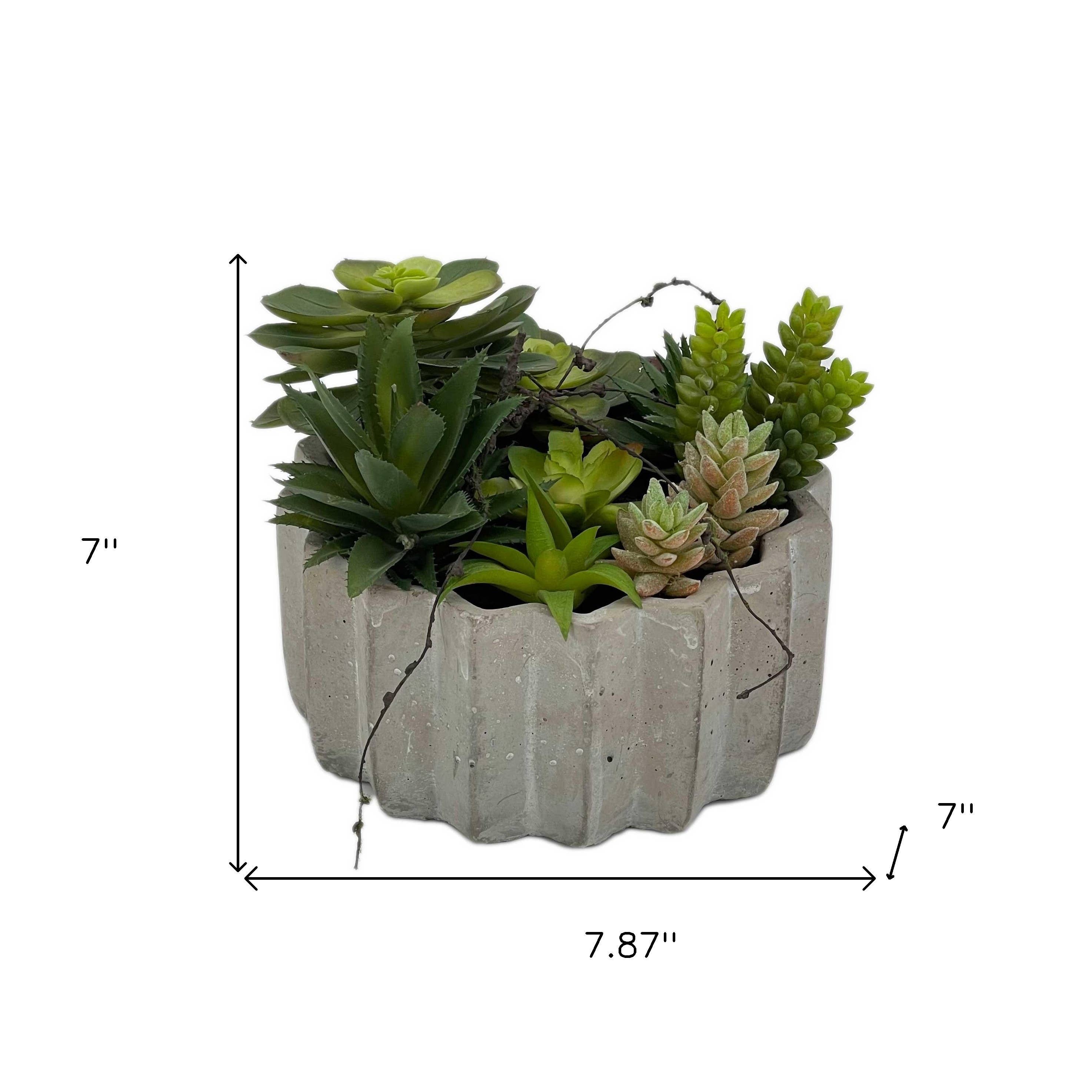 HomeRoots - Wholesale Artificial Plant - 8" Green Artificial Succulents in a Gray Planter2