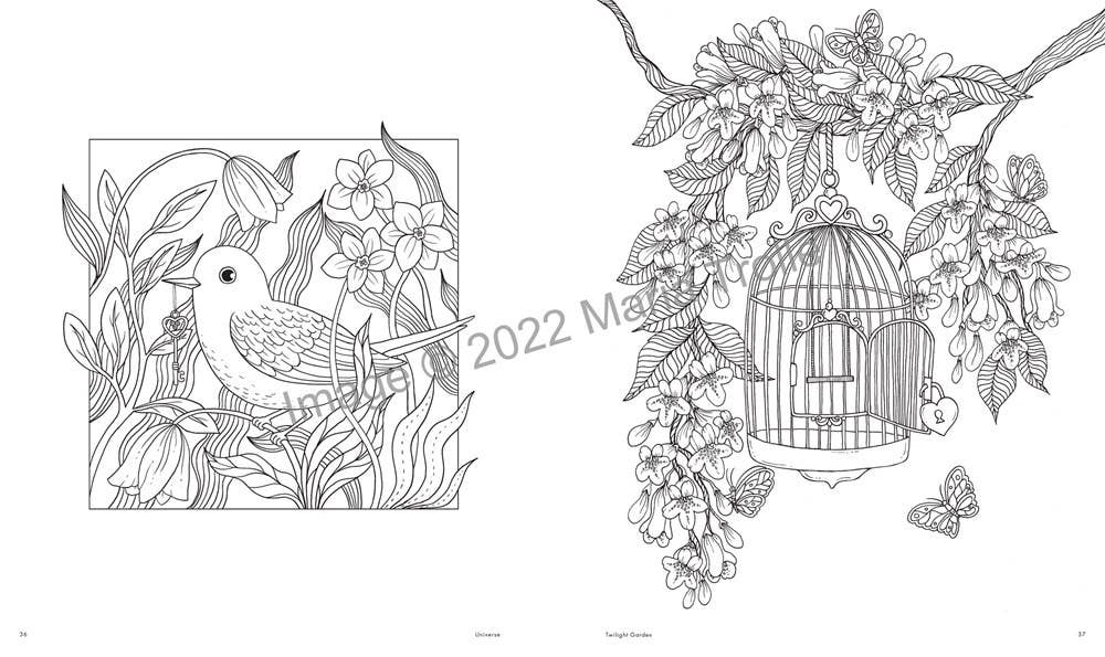 Gibbs Smith - Vente Livre de coloriage et d'activités pour adultes - Cahier de coloriage L'univers de Maria Trolle3