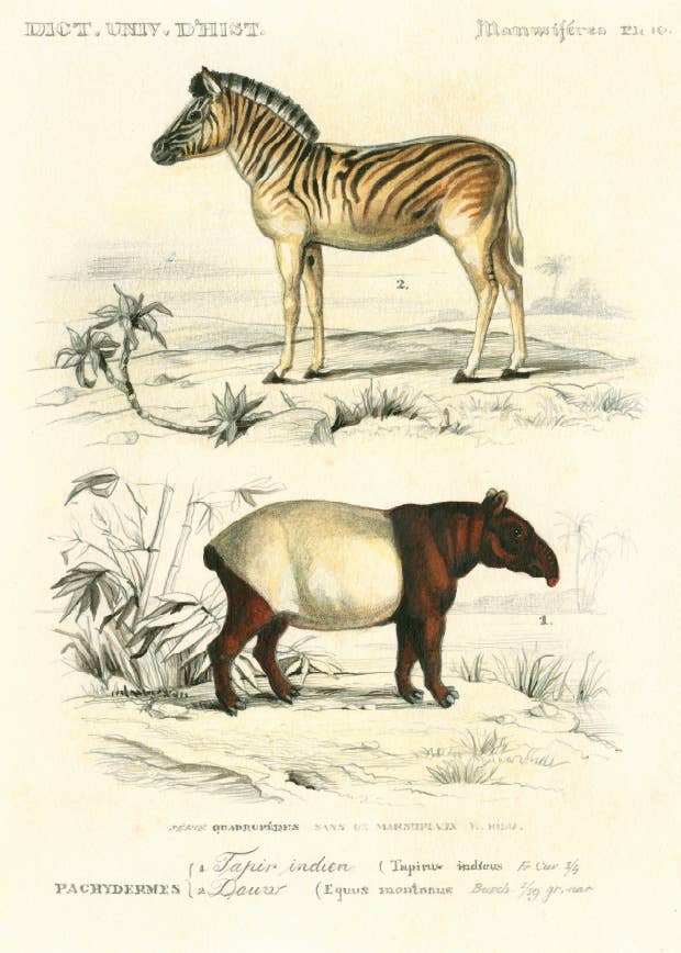 Bomo Art Budapest - Wholesale Everyday Greeting Card - Greeting Card + Envelope45