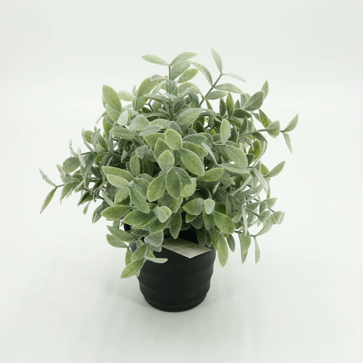 Wholesale Home Decor - Wholesale Plant Pot - Thyme Pot 11in1