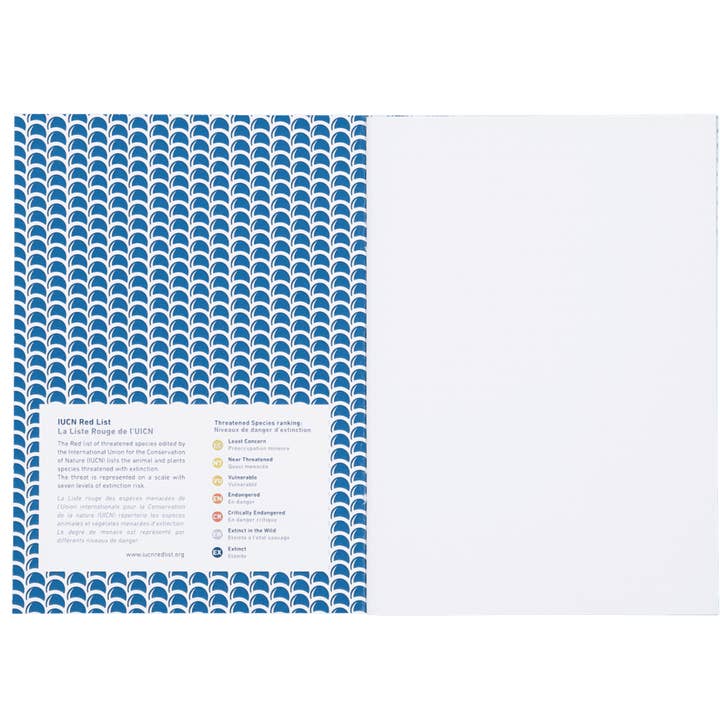 Coq En Pate - Vendita all'ingrosso Sketchbook/blocchi per schizzi - Quaderno A5 in carta riciclata - Balena2