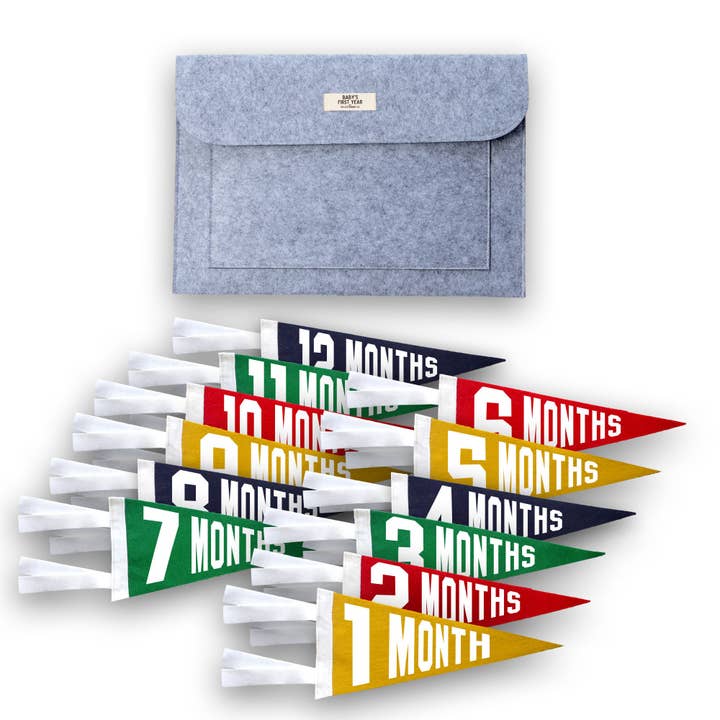 Baby Milestone Pennant Gift Set for wholesale by The Letterman Co