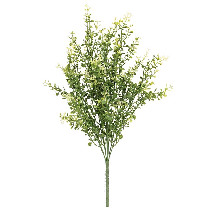 Cream Tipped Baby's Grass Bush - 21" for wholesale by Saybrook Lane