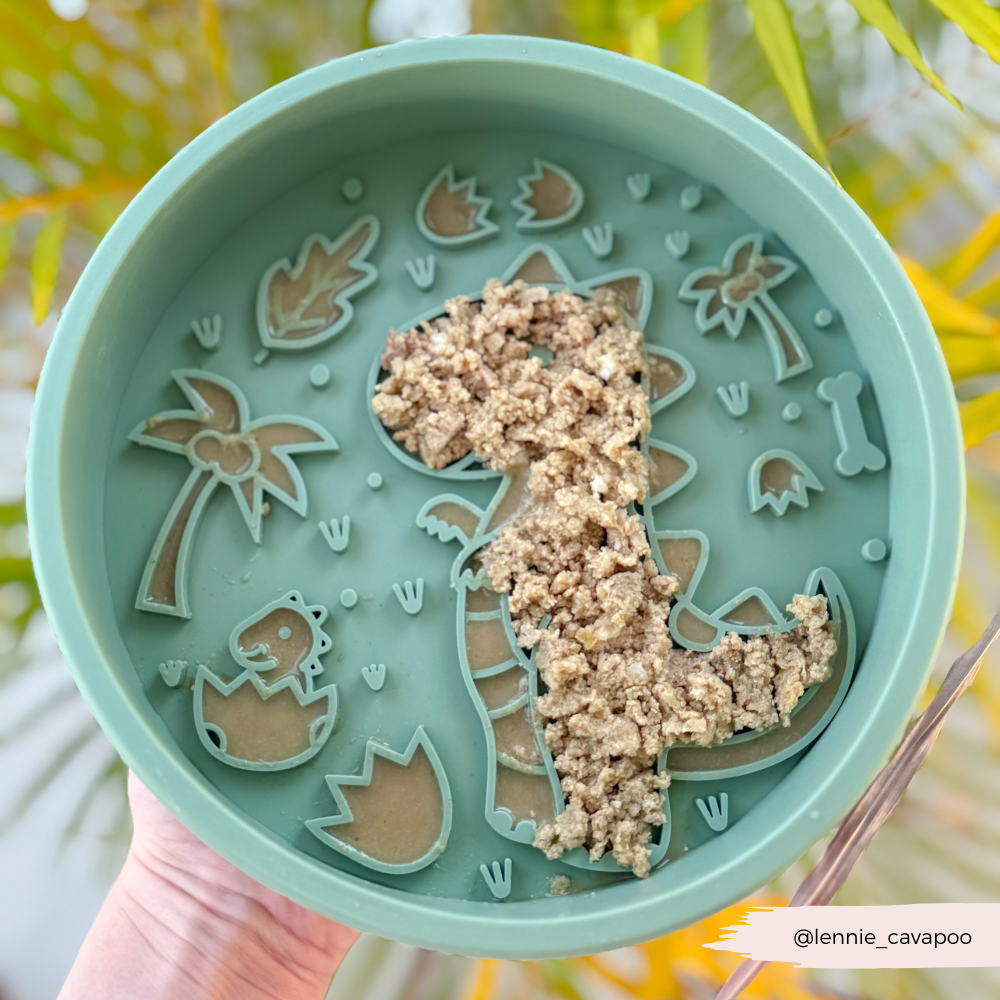 Cocopup London - Wholesale Pet Bowl - Cat/Dog - Silicone Slow Feed Dog Bowl - Dinopaws5