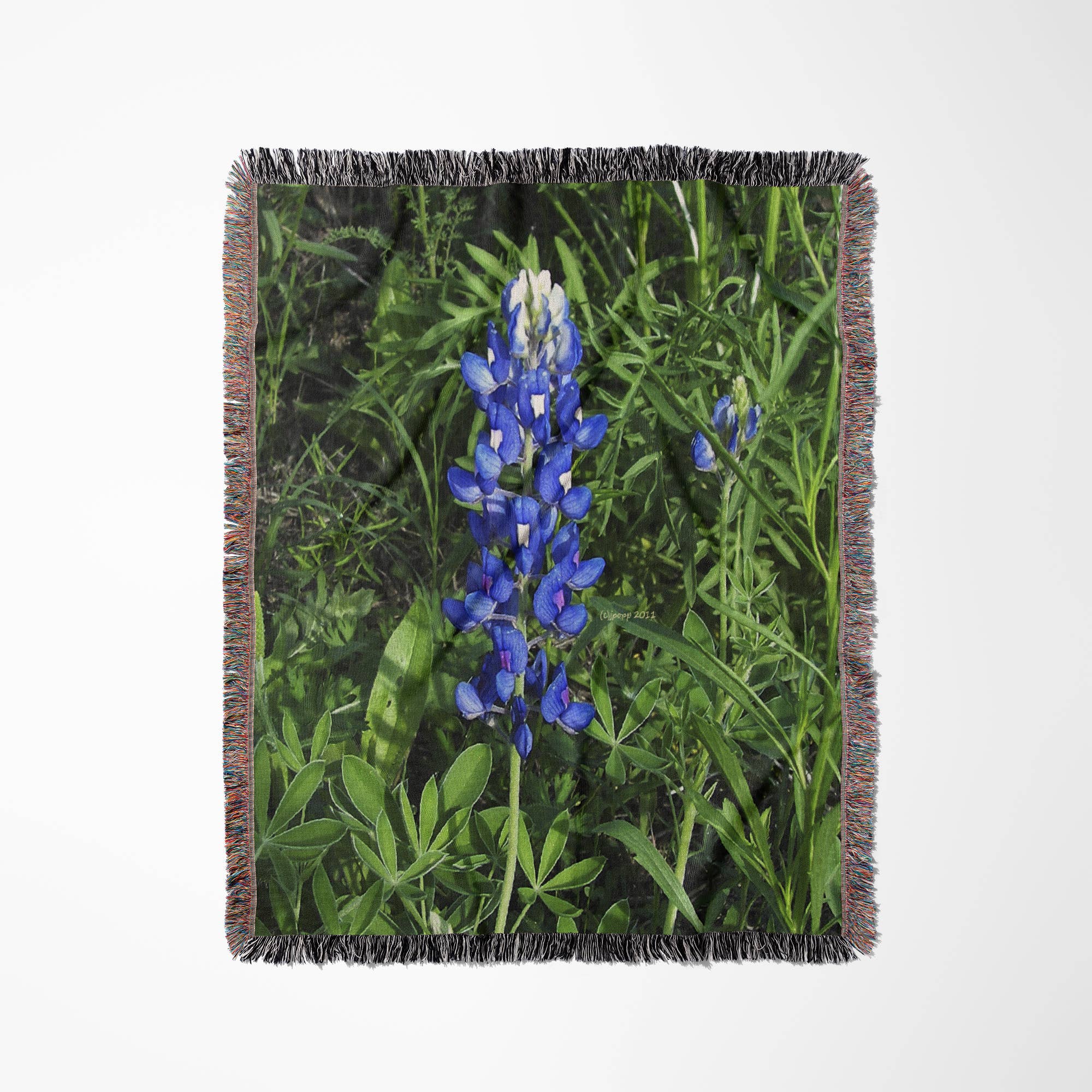 3dRose – wholesale Throw blanket – 3dRose, Bluebonnet, Blanket0