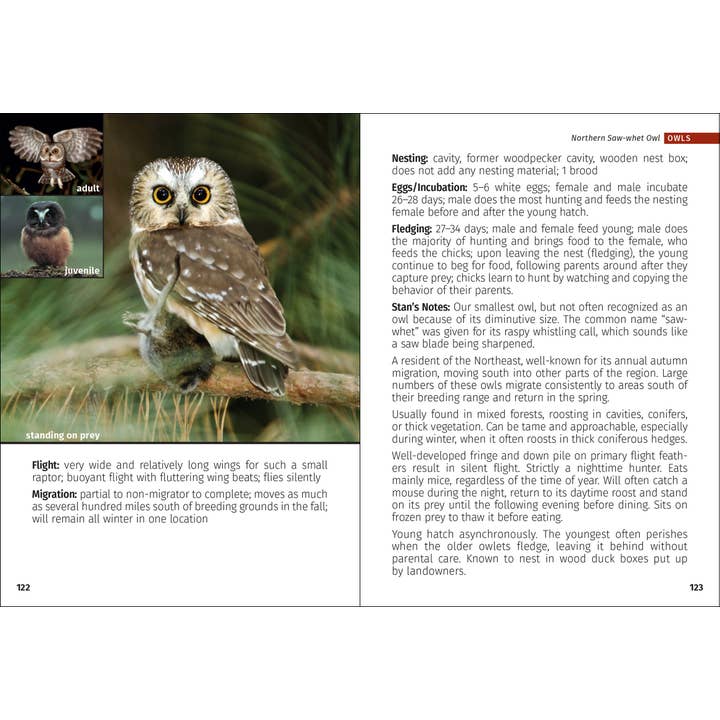 AdventureKEEN - Wholesale Nature & Outdoors - Birds of Prey of the Northeast Field Guide 2nd Edition11