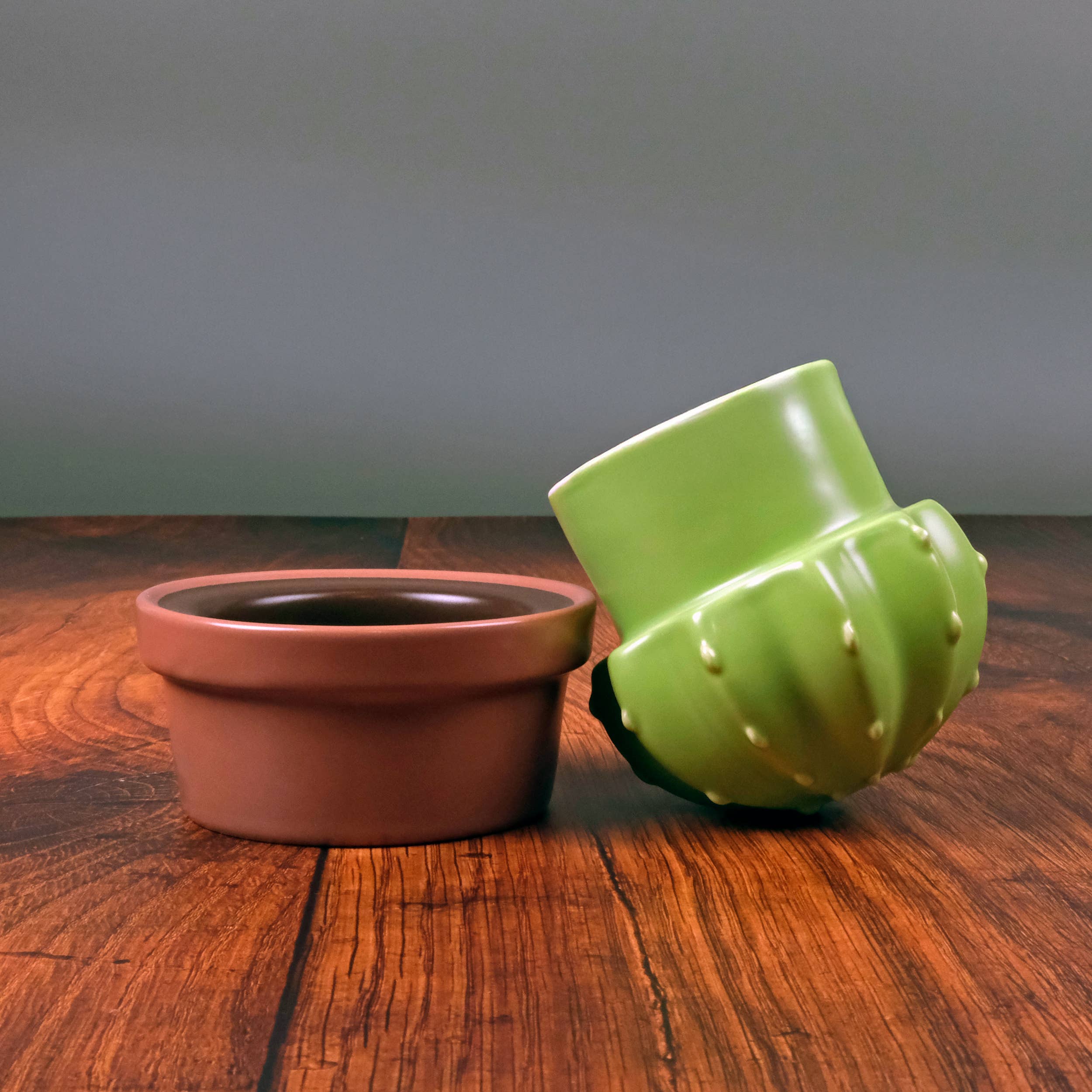 Fred & Friends - Wholesale Butter Dish - HOUSE PLANT - Ceramic Cactus Butter Storage7