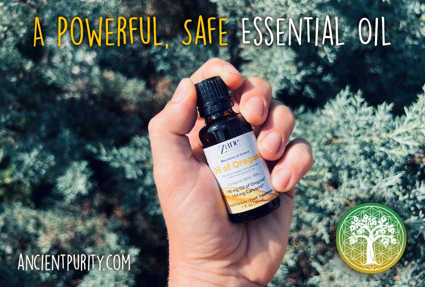 Ancient Purity - Wholesale Oral Supplement/Vitamin - Oregano Essential Oil 30ml | Zane Hellas | Greek Origin3