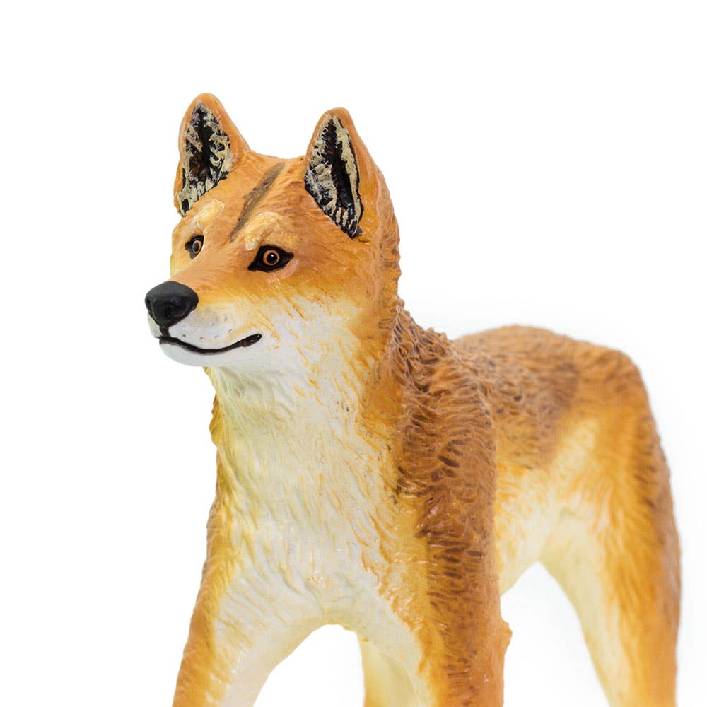 Safari Ltd. - Wholesale Figurine Toy - Kids - Dingo - 2282293