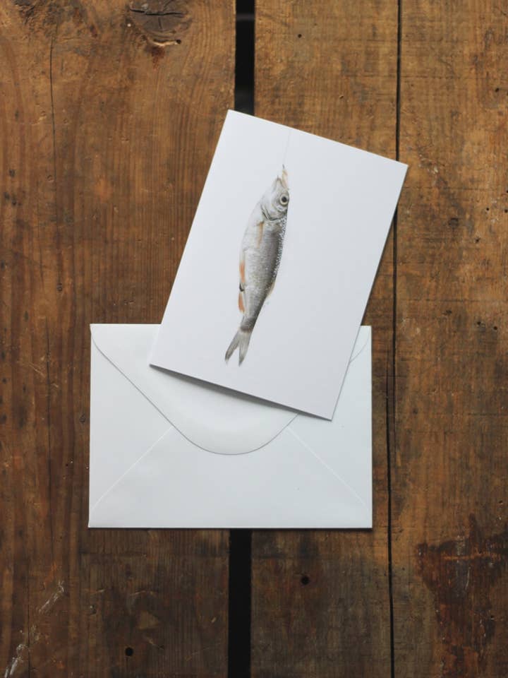 bait fish - notecard for wholesale by stück in the studio