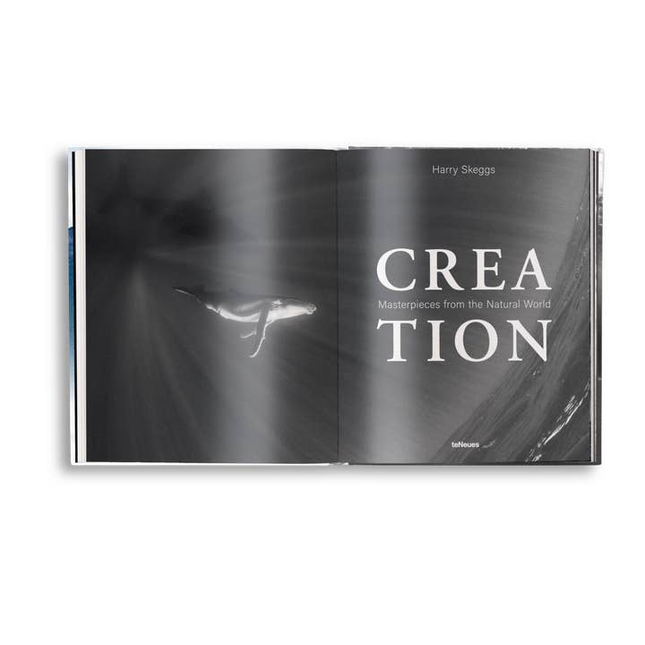 gestalten & teNeues - Vente Livre à exposer - Création2