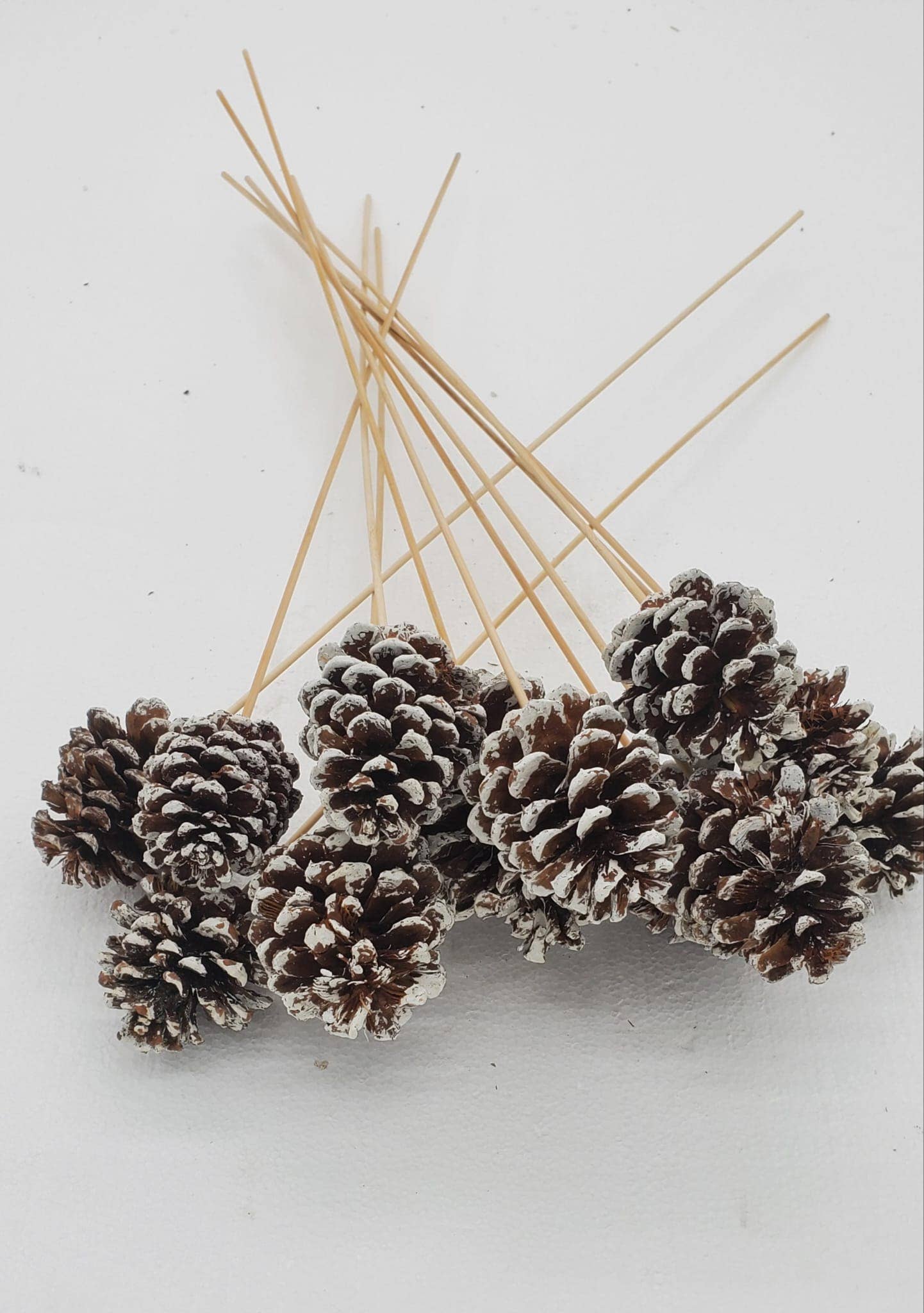 Holiday Forest  Products – wholesale Juldekoration – Ponderosatallkotte1