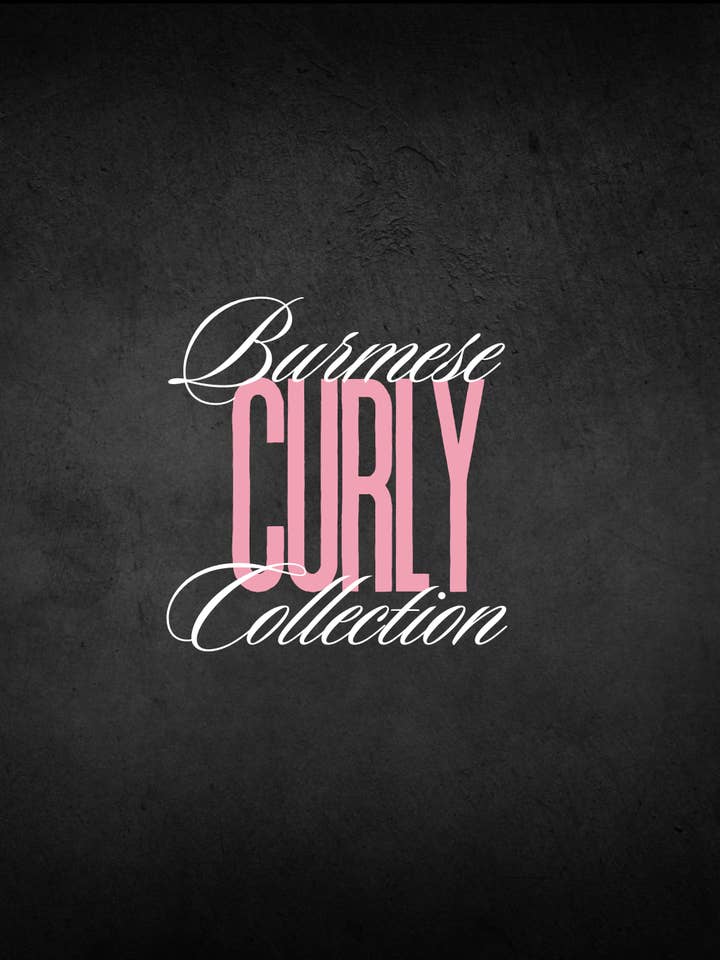 SlayWay Burmese Curly Single Closures & Frontals for wholesale by Thee SlayWay Bundles LLC