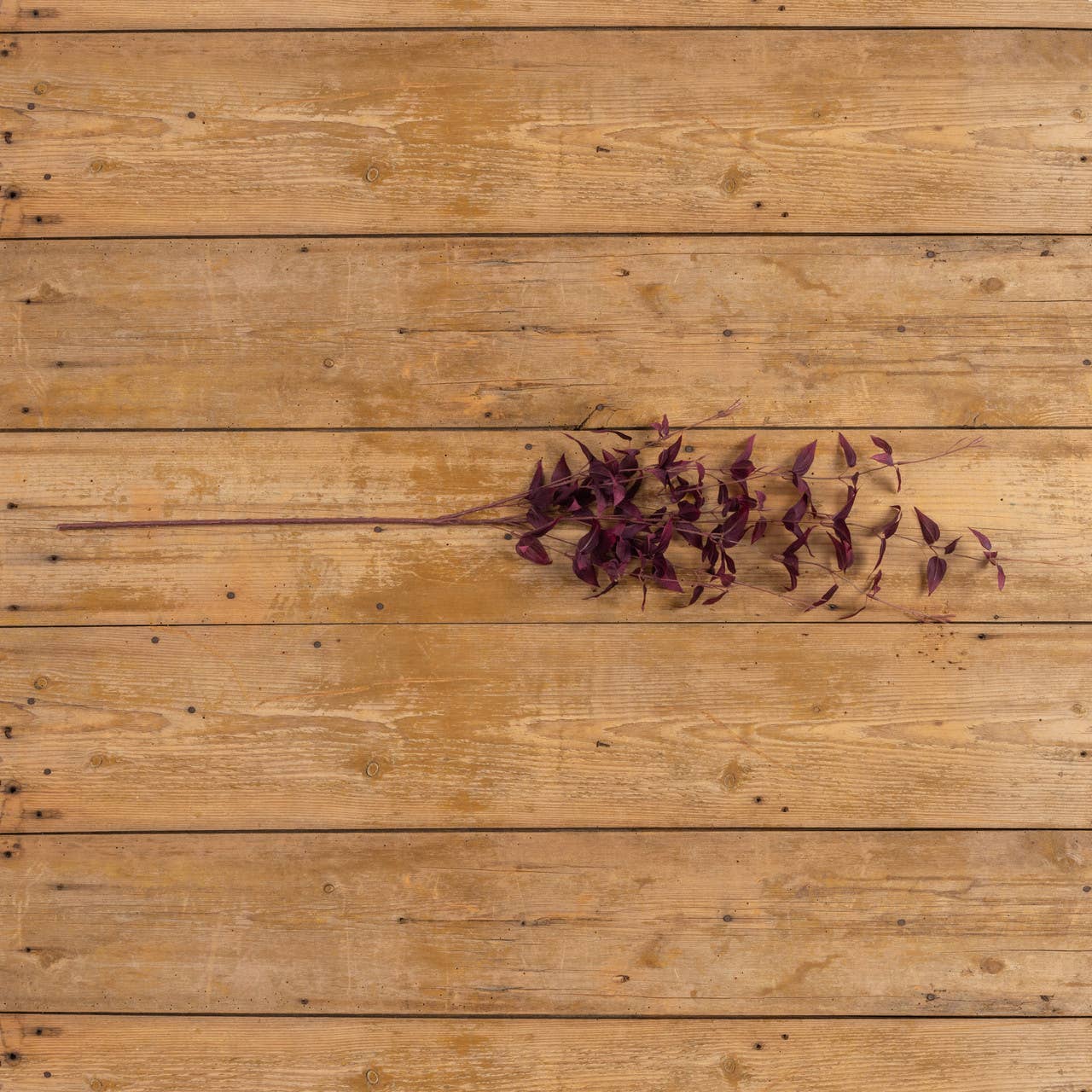 Ragon House - Wholesale Artificial Flowers - 45.75" DEEP PURPLE CLEMATIS FLORIDA SPRAY2