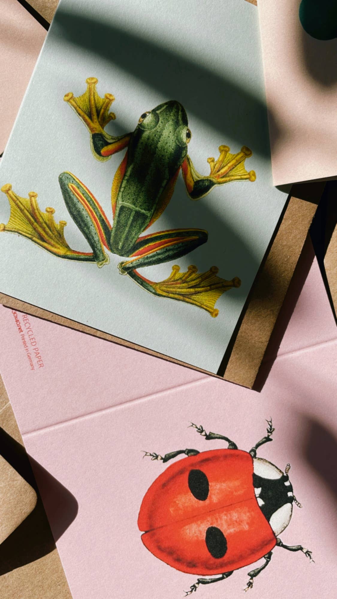 30x40 - Wholesale Everyday Greeting Card - Frog Mini Card2