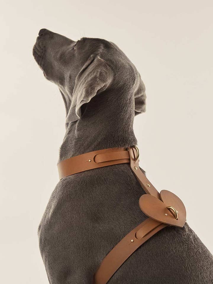 Acessório em forma de coração para coleira ou peitoral de cachorro - cor camelo por atacado de INDÓMITO