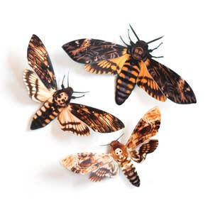 The magic behind Moth & Myth, a Seattle paper butterfly business