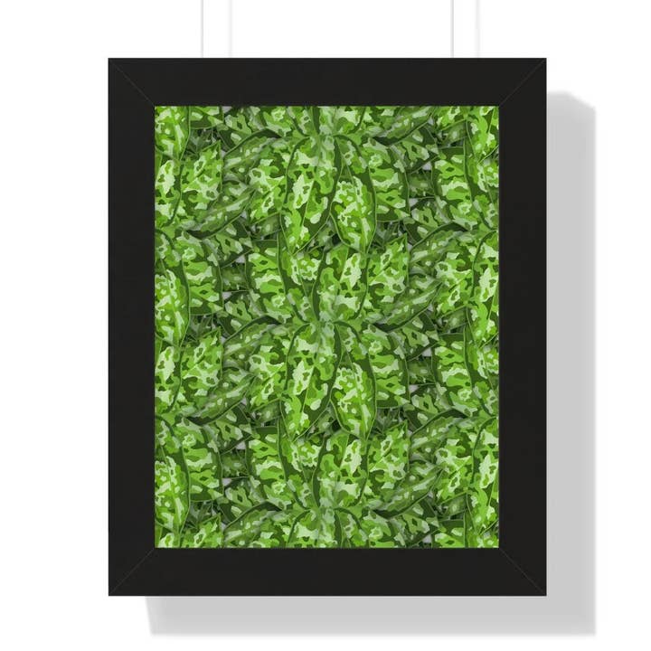 Aglaonema Pictum Print Framed Botanical Art With Matte Finish Poster And Acrylic Frame for wholesale by The Potted Pixel