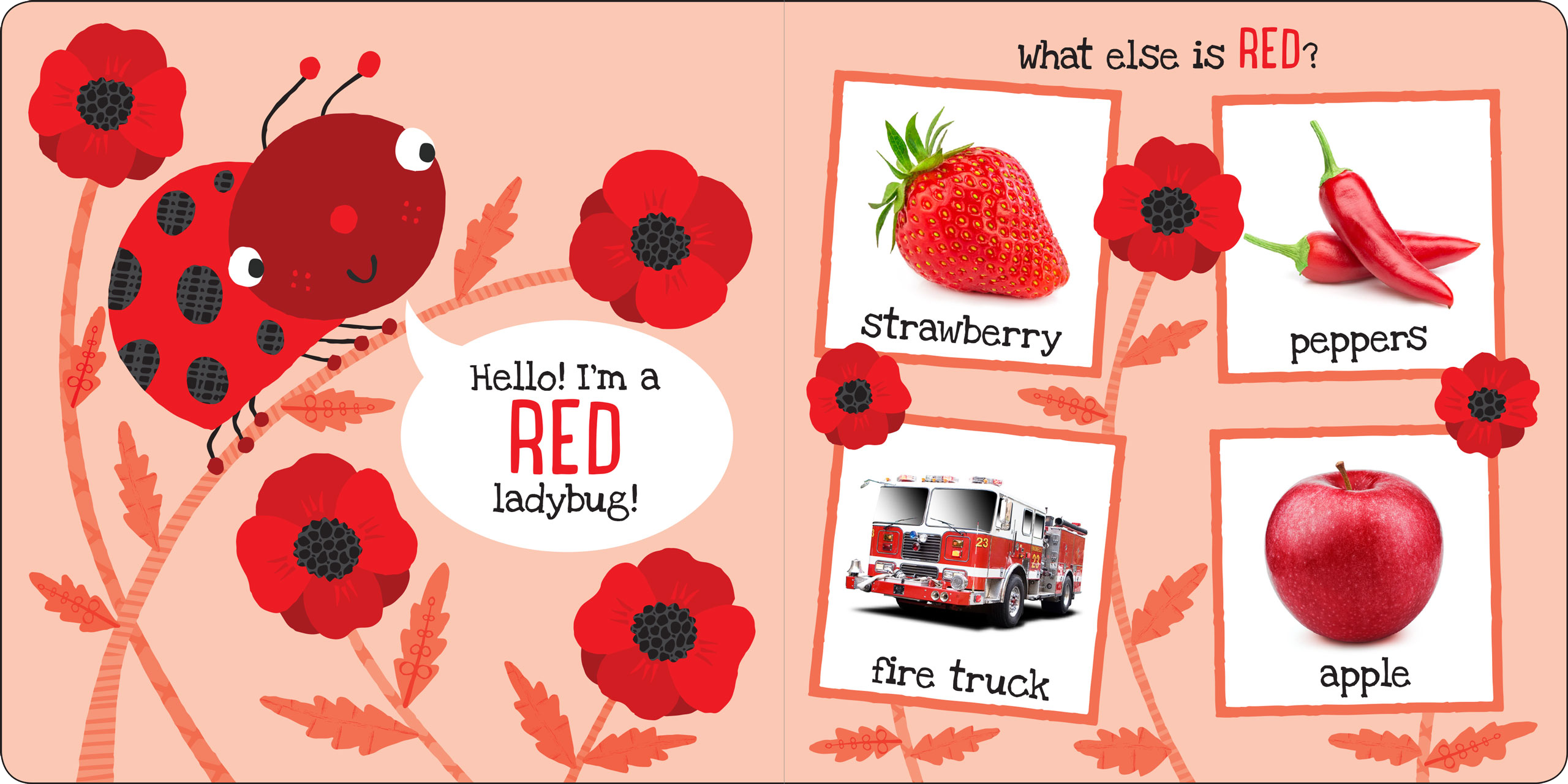 Peter Pauper Press - Wholesale Baby & Toddler Book (0-2) - My First COLORS Board Book1