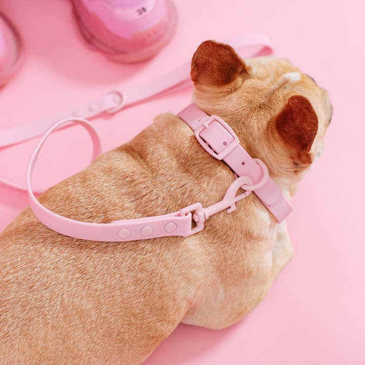 Wasserdichtes Halsband von Frenchie — Pink Bubble Gum für den Großhandel von Frenchie