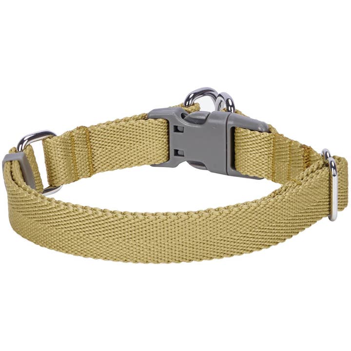 Blueberry Pet - Wholesale Pet collar – Dog - Best-Seller Double D-Ring Dog Collar -Must-Have for All Dogs66