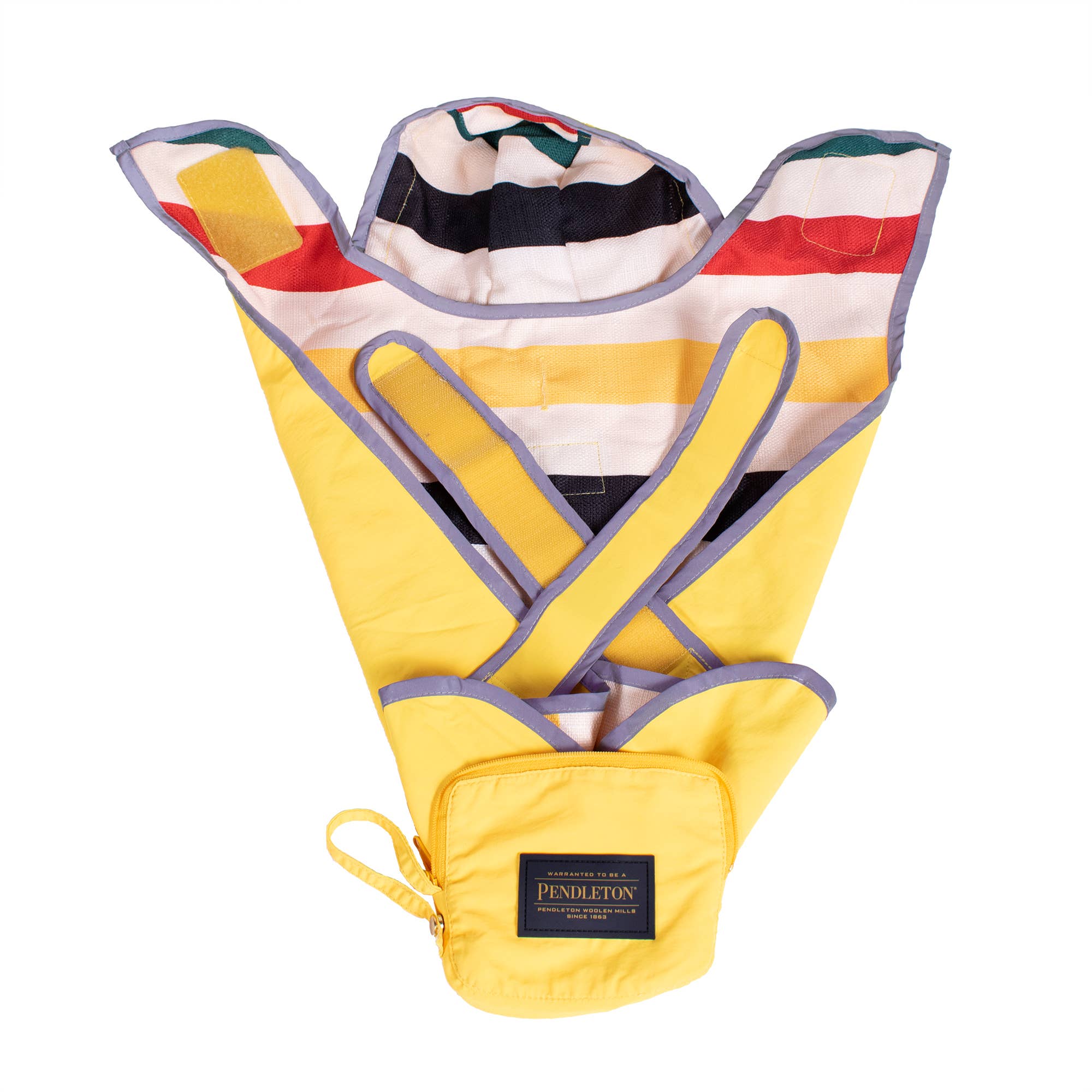 Carolina Pet Company - Vente Imperméable – chien - Manteau de pluie imperméable à capuche Pendleton et sac de transport pour chiens5