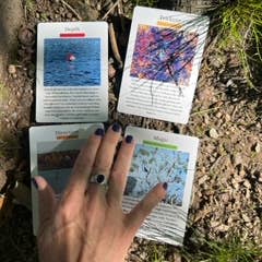 Maine Sea Witch - Wholesale Spiritual Stone/Crystal - Maine Sea Witch Oracle2