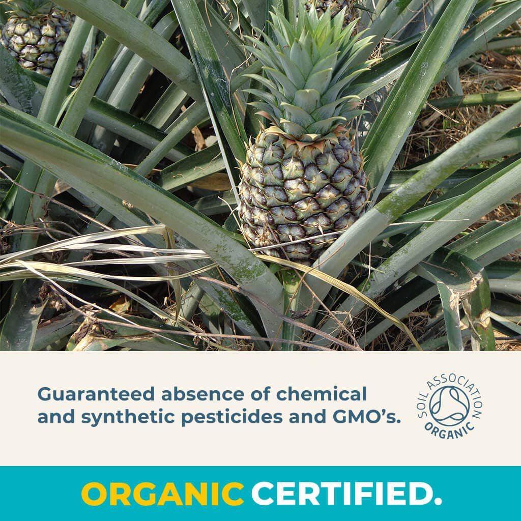 WALLAROO – wholesale Dried/dehydrated fruit – Wallaroo Organic Dried Pineapple Chunks 10x30g3