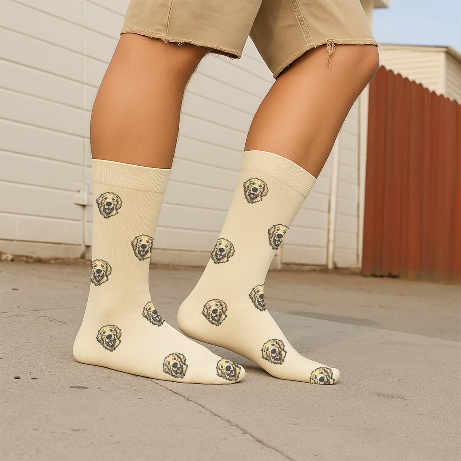 Extreme Fit Wholesale - Vendita all'ingrosso Calzini - Unisex - Calzini Unisex per Cani di Tutti i Giorni con Espositore Gratuito (24 Paia)4